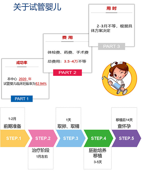 试管婴儿治疗阶段