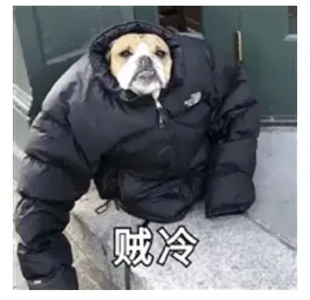 表情图片