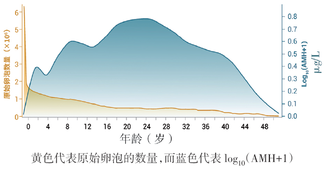 血清AMH水平和原始卵泡数量随年龄的动态变化图