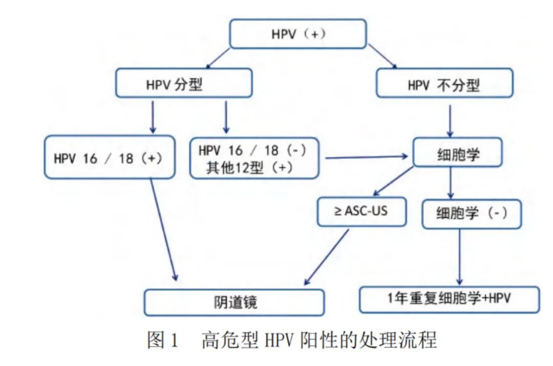 高危型HPV阳性作为初筛时的处理：