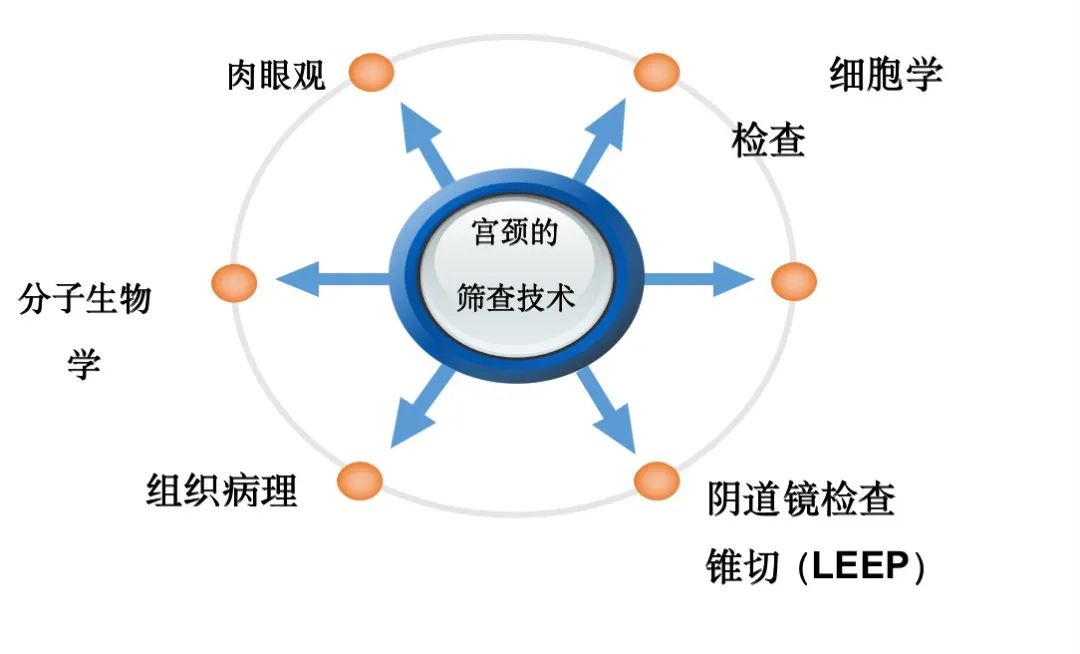 宫颈病变的检查方法如下图：