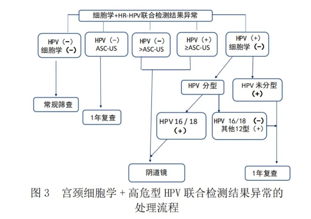 细胞学（TCT）联合高危型 HPV 筛查的处理：