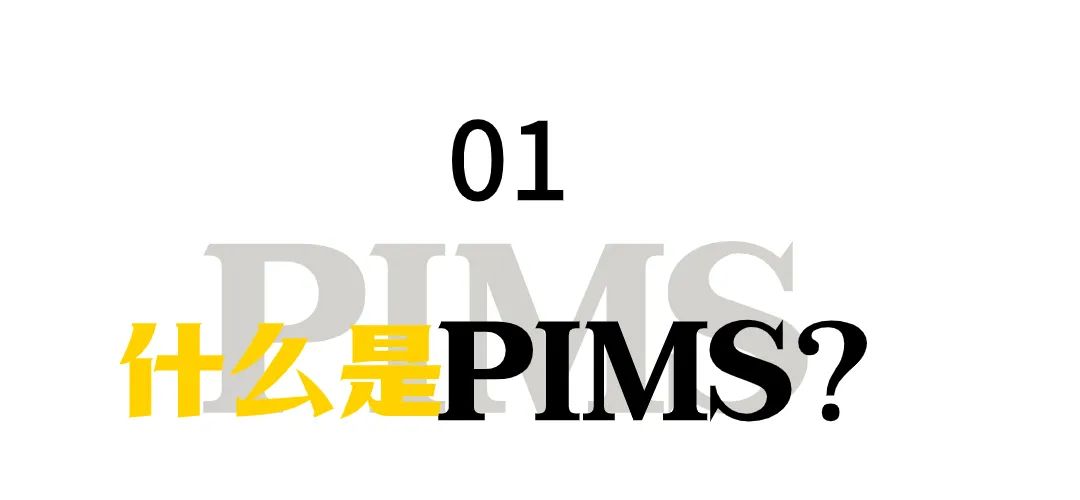 什么是PIMS