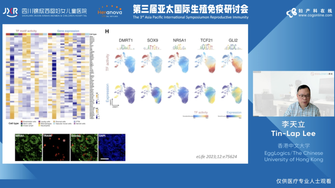 李天立 教授，香港中文大学