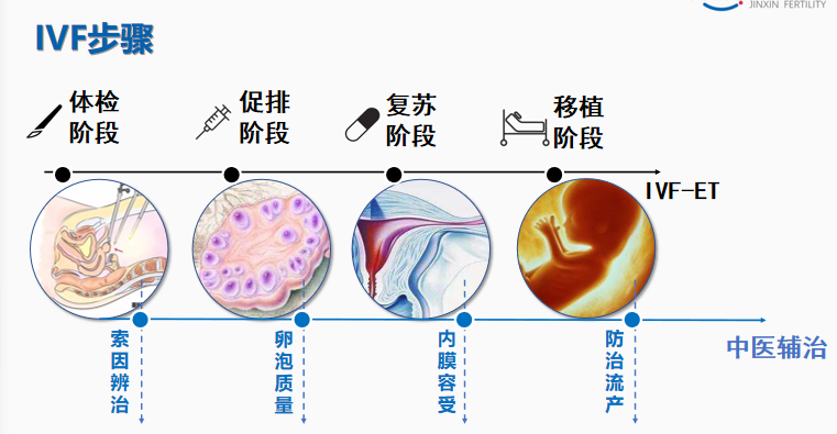 试管婴儿阶段中，中医如何帮大家辅助调理？