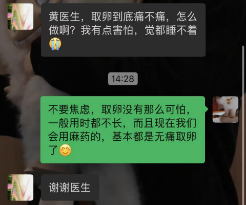 担心取卵疼痛的患者术前咨询