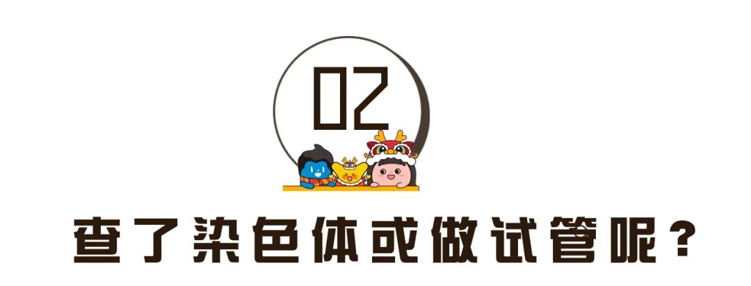 查了染色体或做试管婴儿呢? 查了染色体或做试管婴儿呢?