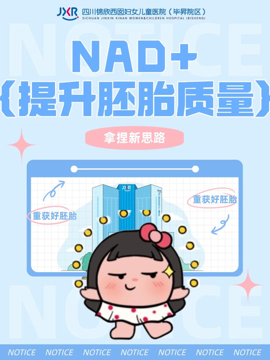 NAD+ 提升胚胎质量
