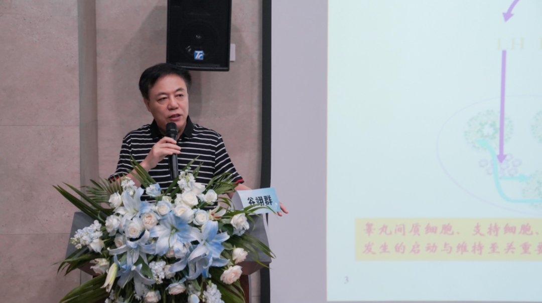 国家卫健委科研所/WHO人类生殖研究合作中心主任 谷翊群教授