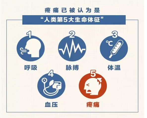 2025世界镇痛日，别让疼痛“沉默”