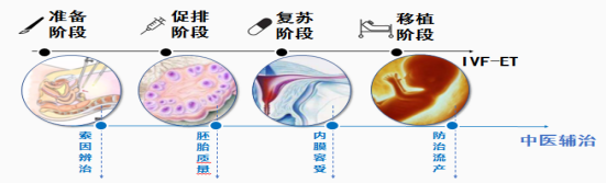 反复移植失败？中医助孕为你打开“好孕”新通道！