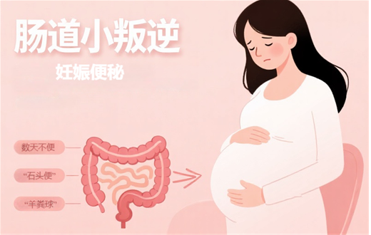 孕期便秘别慌！中医辨证+药膳+穴位，轻松摆脱“便”扰～