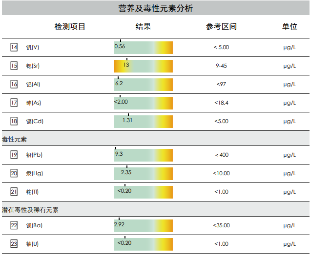 报告示意图