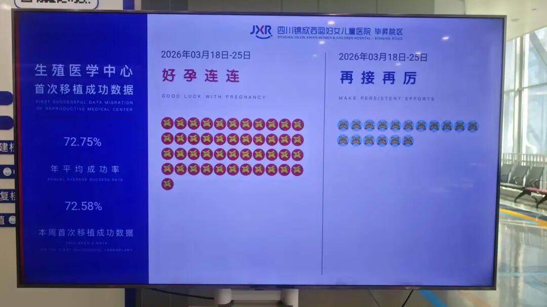 最新试管婴儿成功率！更有生育补贴活动